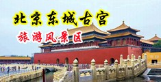 肉乳床欢无码A片野战中国北京-东城古宫旅游风景区